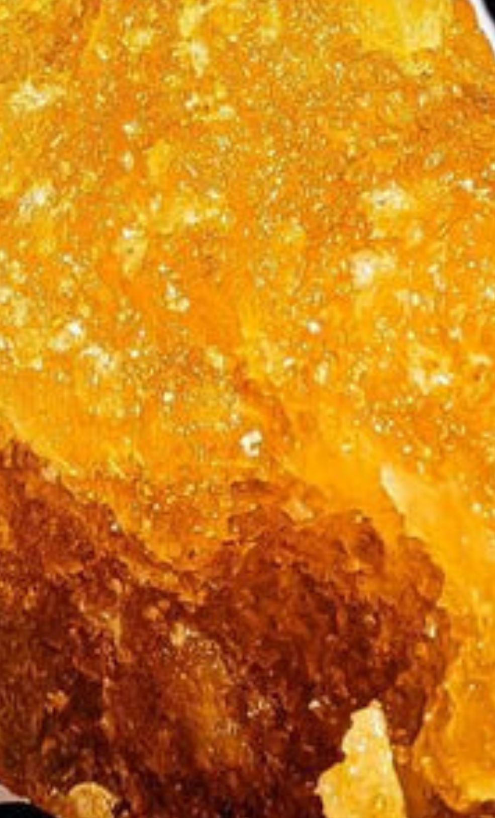 PACK DÉCOUVERTE EXTRACTION