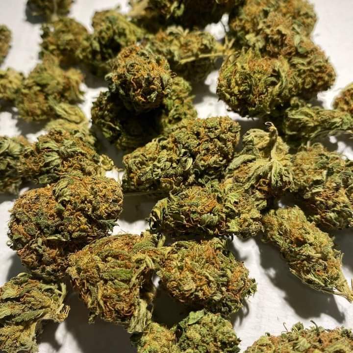 Mélange de fleurs CBD 5gr (2€ le gr)