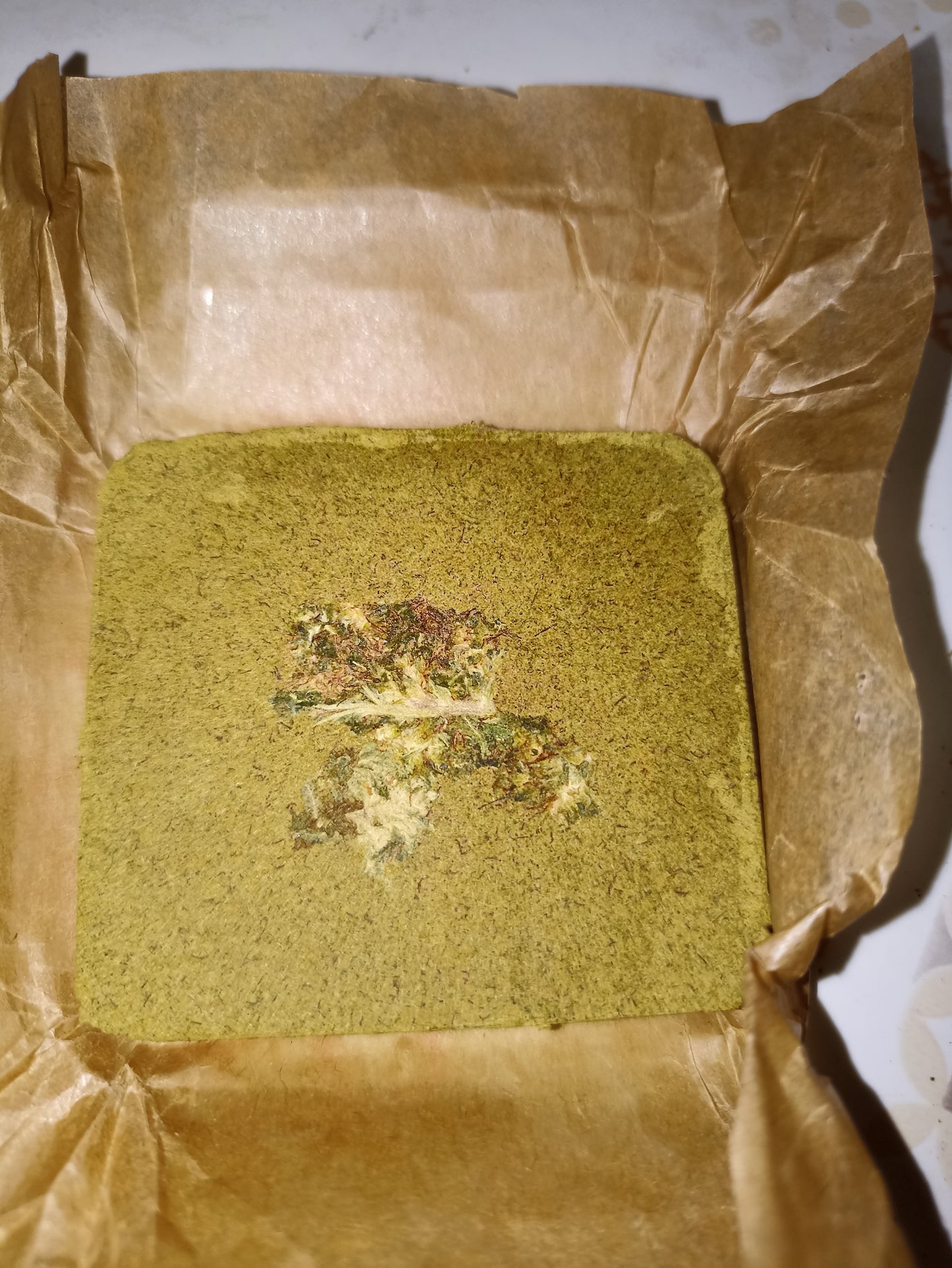🇨🇵 Polen Dioica88 🇨🇵 1GR