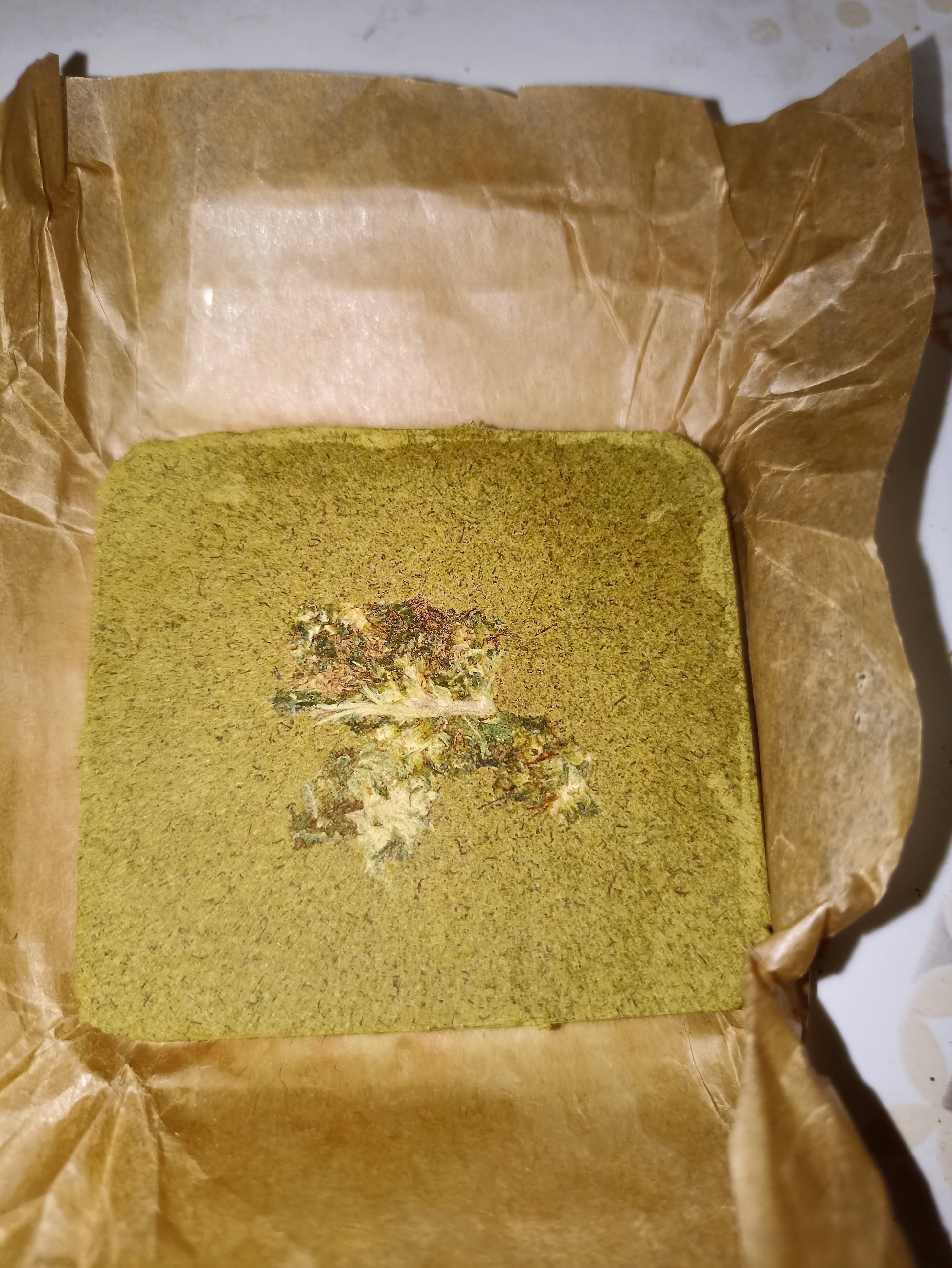 🇨🇵 Polen Dioica88 🇨🇵 1GR